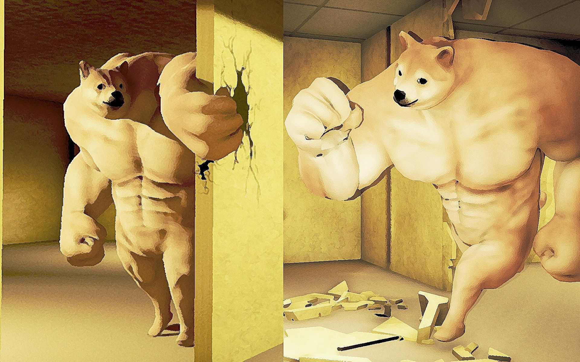 肌肉柴犬人太猛了!《buff doge》