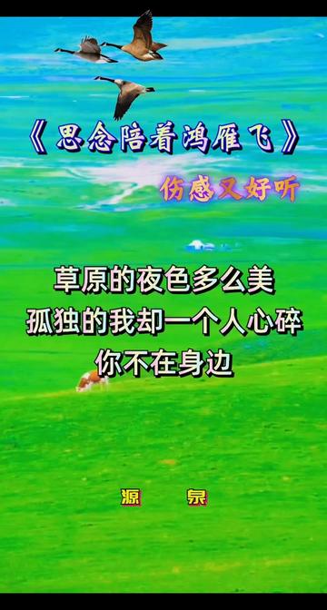 思念陪着鸿雁飞|一首情深意切感人至深的伤感歌曲
