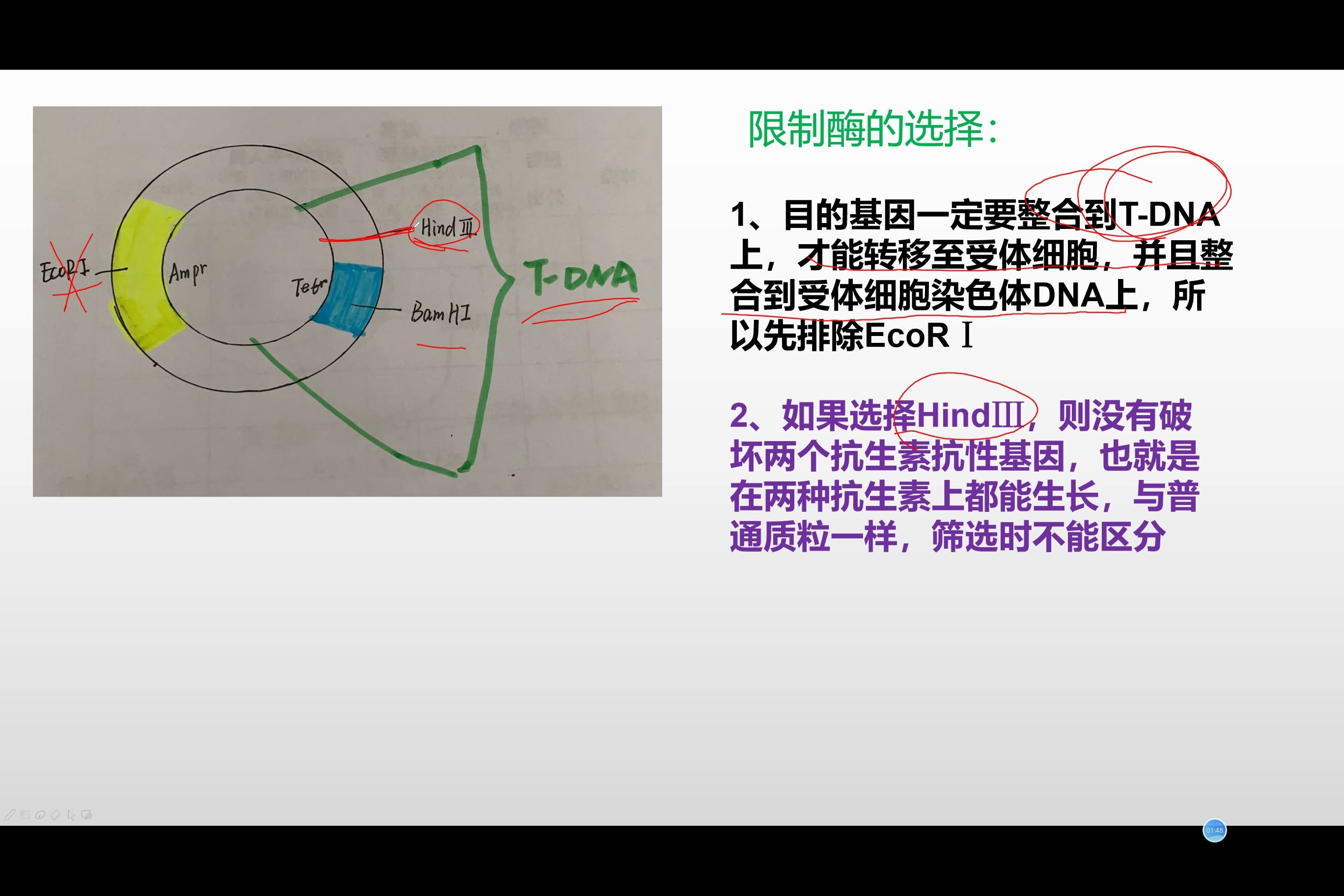 标记基因哔哩哔哩bilibili