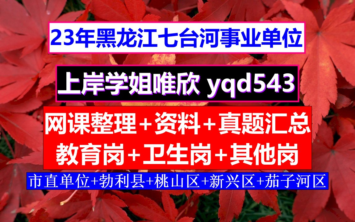 黑龙江七台河市桃山区事业单位招考其他岗公共基础知识,零基础怎么备考,事业单位网课哪家好哔哩哔哩bilibili