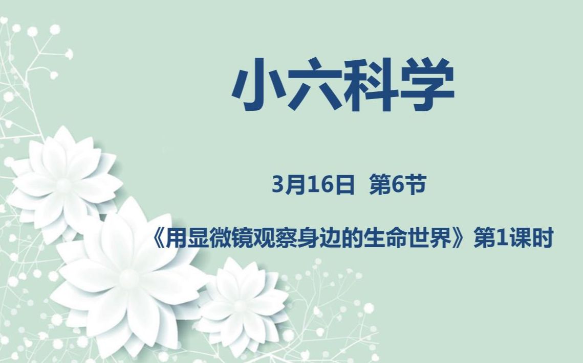 [图]小六科学03-16第六节 用显微镜观察身边的生命世界1