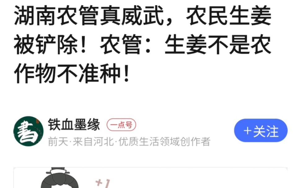 事件澄清,农民生姜被铲除!农管:生姜不是农作物不准种哔哩哔哩bilibili