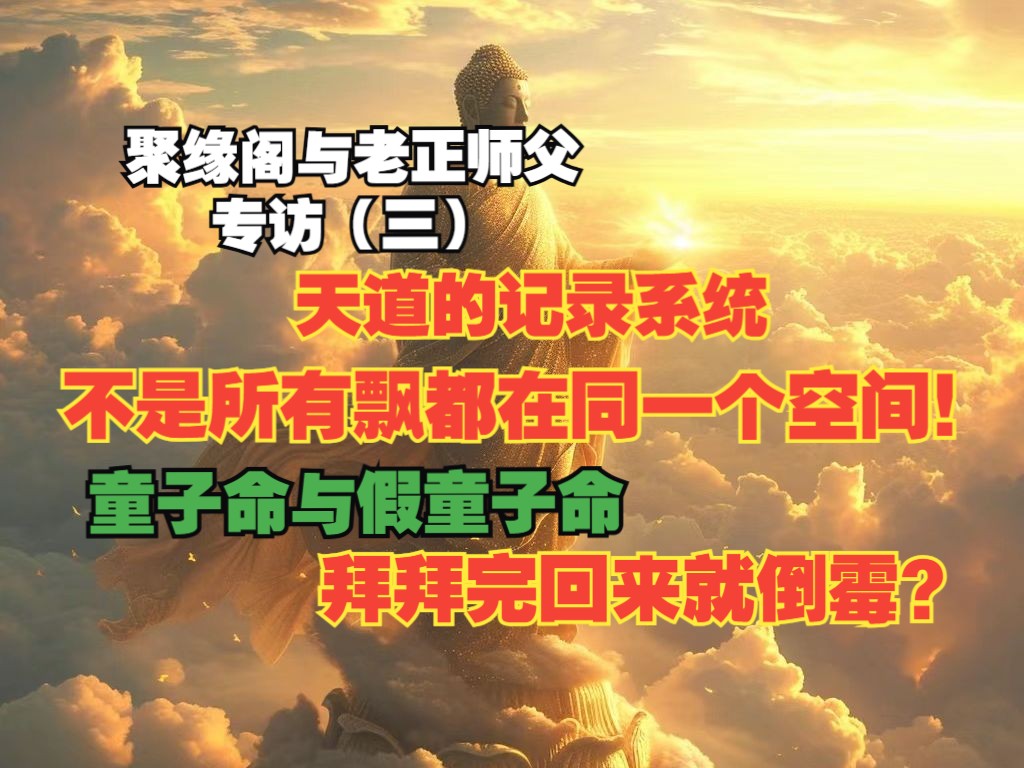 老正专访三|天道记录系统|倒霉是消业|童子命解释|飘也分空间和维度?|聚缘阁哔哩哔哩bilibili