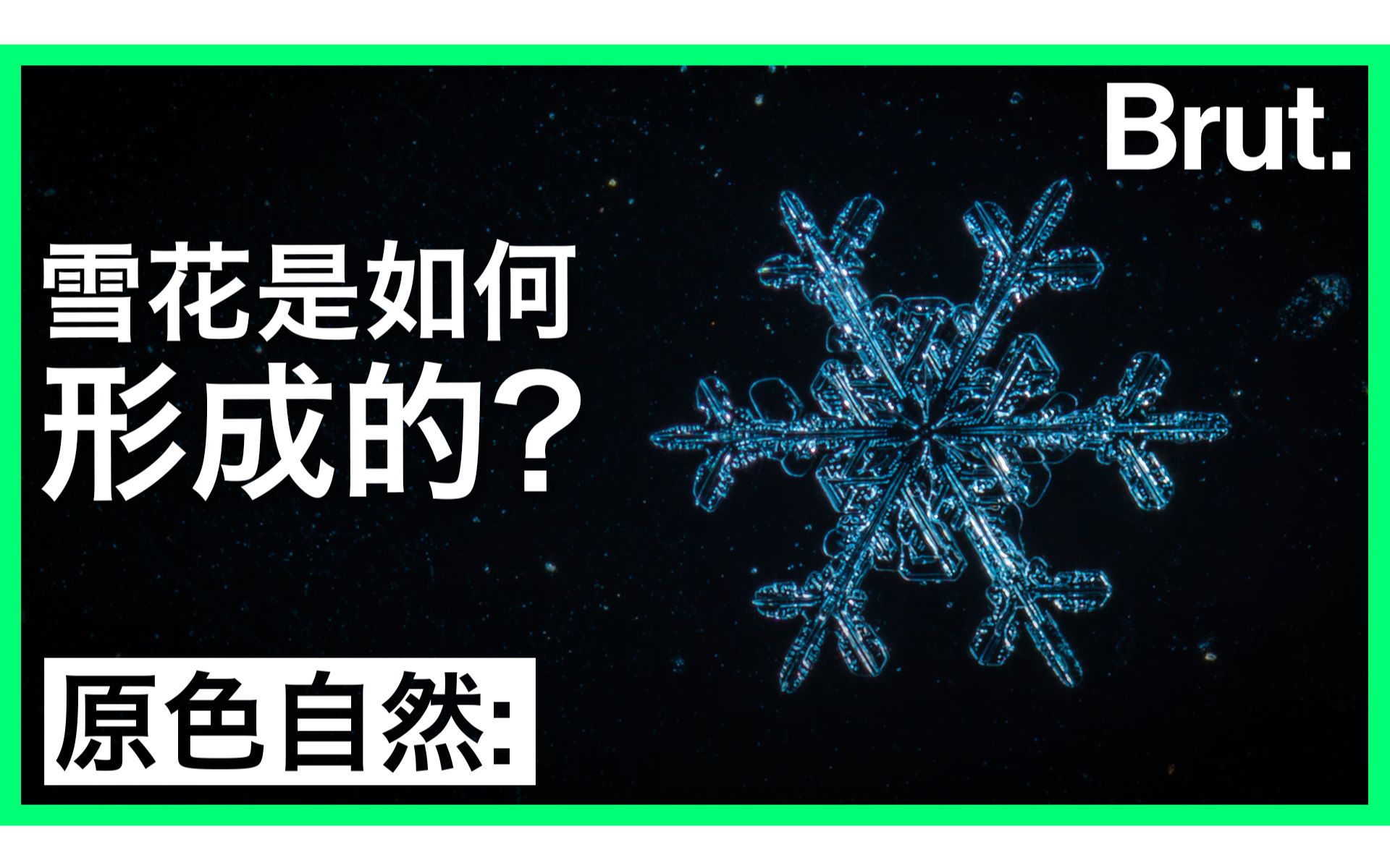 雪花是如何形成的?哔哩哔哩bilibili