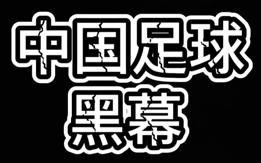 刘建宏:国家队明码标价 银行卡打钱 就能进哔哩哔哩bilibili