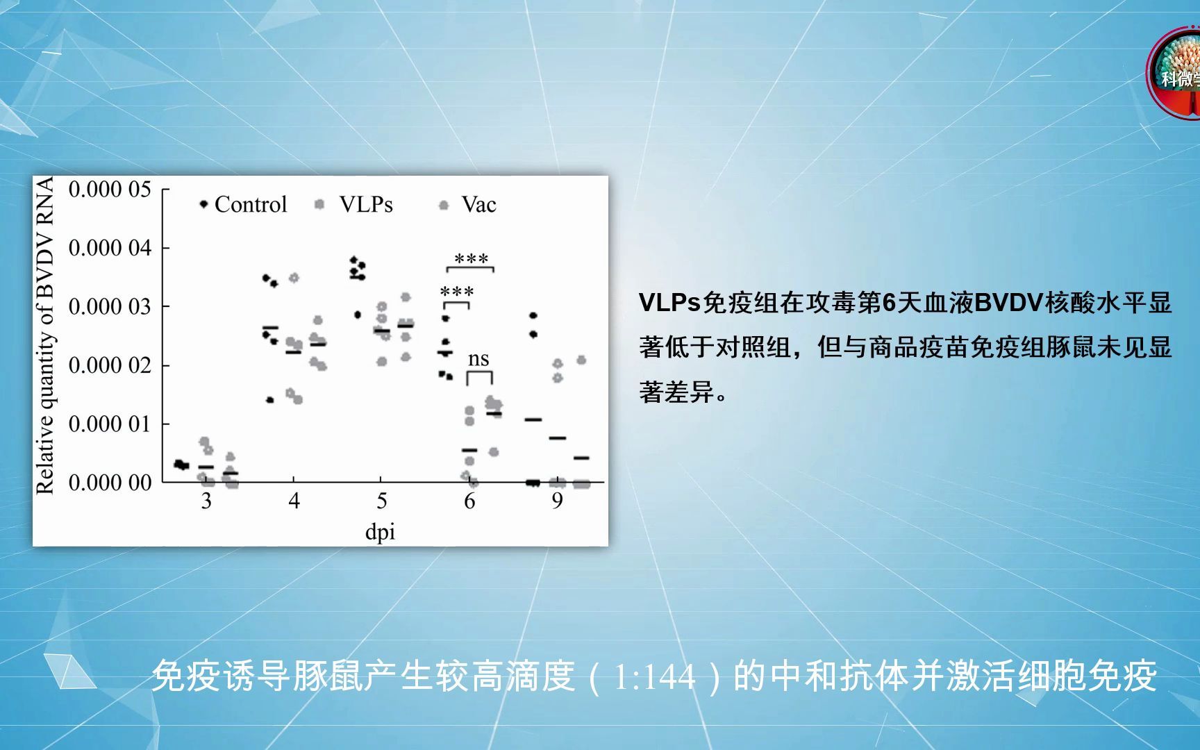 牛病毒性腹泻病毒1型病毒样颗粒的制备及其对豚鼠的免疫原性分析哔哩哔哩bilibili