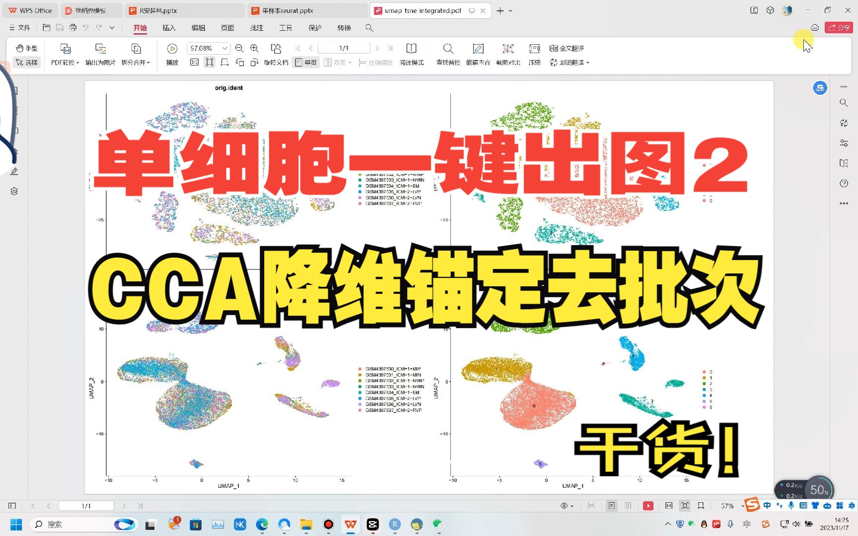 CCA降维锚定整合多样本【多样本单细胞分析】哔哩哔哩bilibili