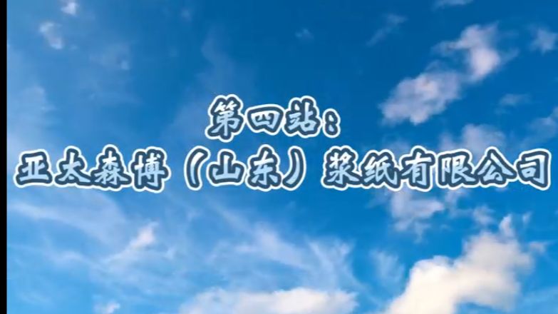 生活用纸行业调研考察山东行——第四站:亚太森博(山东)浆纸有限公司哔哩哔哩bilibili