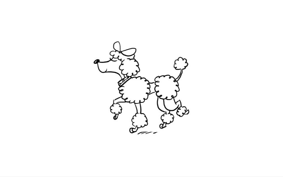 如何画狮子狗||狮子狗画法步骤||初学者简易画法