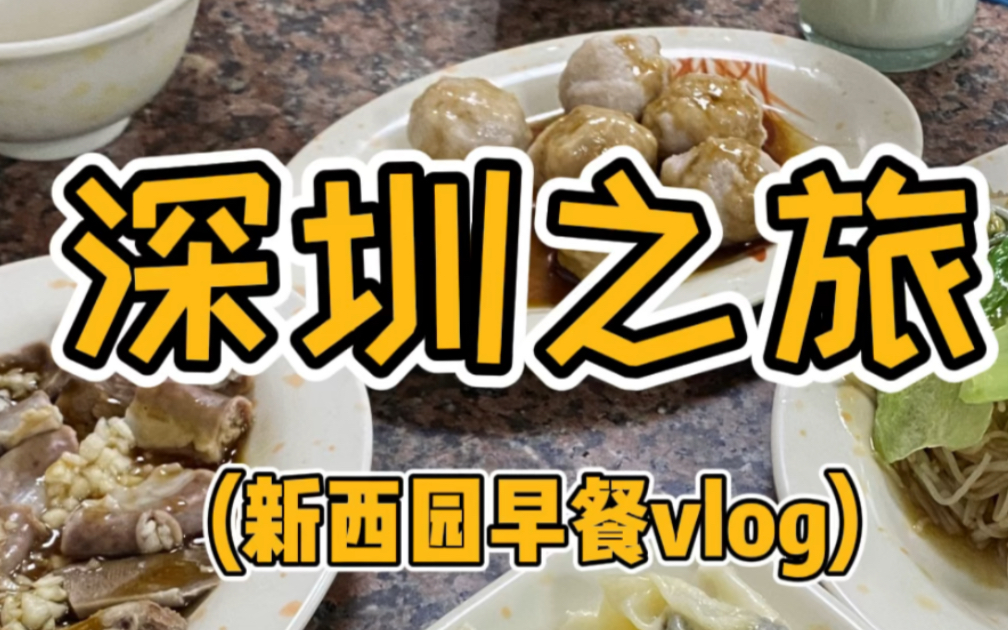 深圳西园早餐老字号vlog哔哩哔哩bilibili