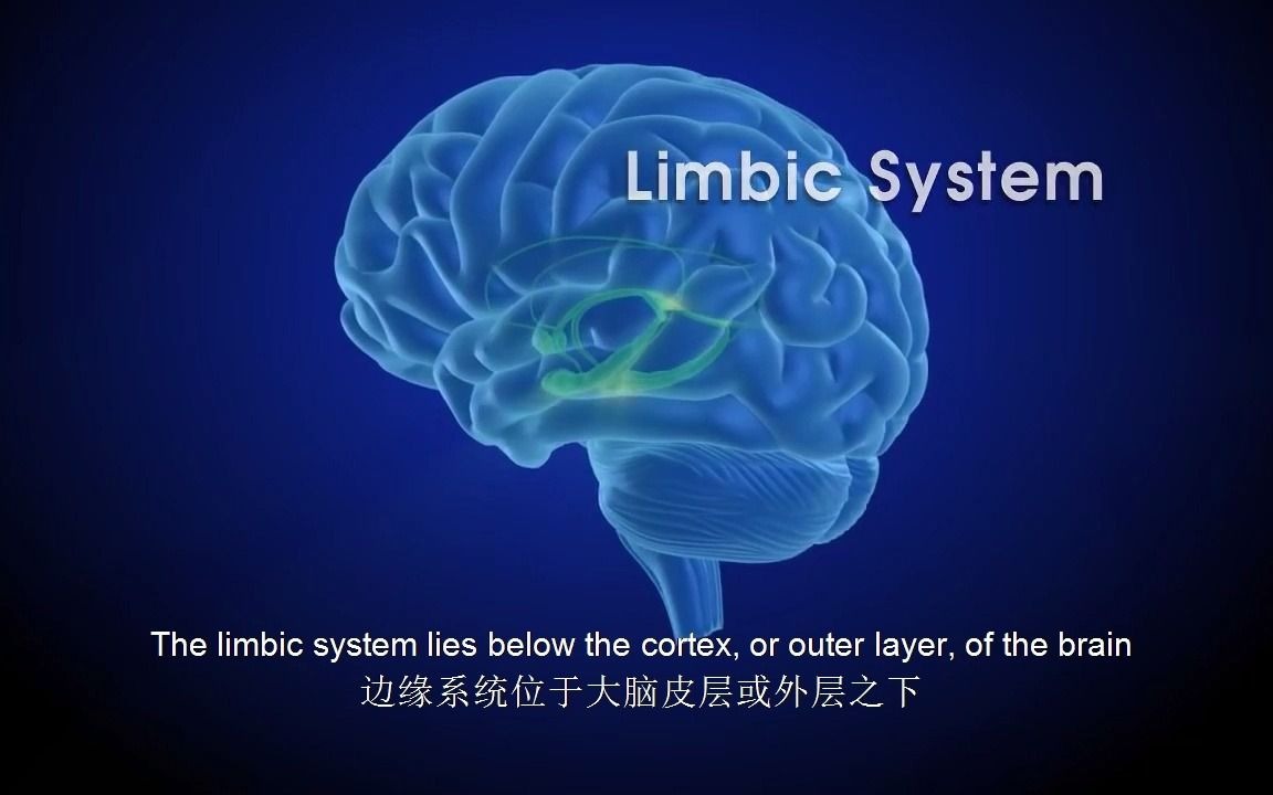 [图]大脑的奖赏系统：从喜爱到成瘾