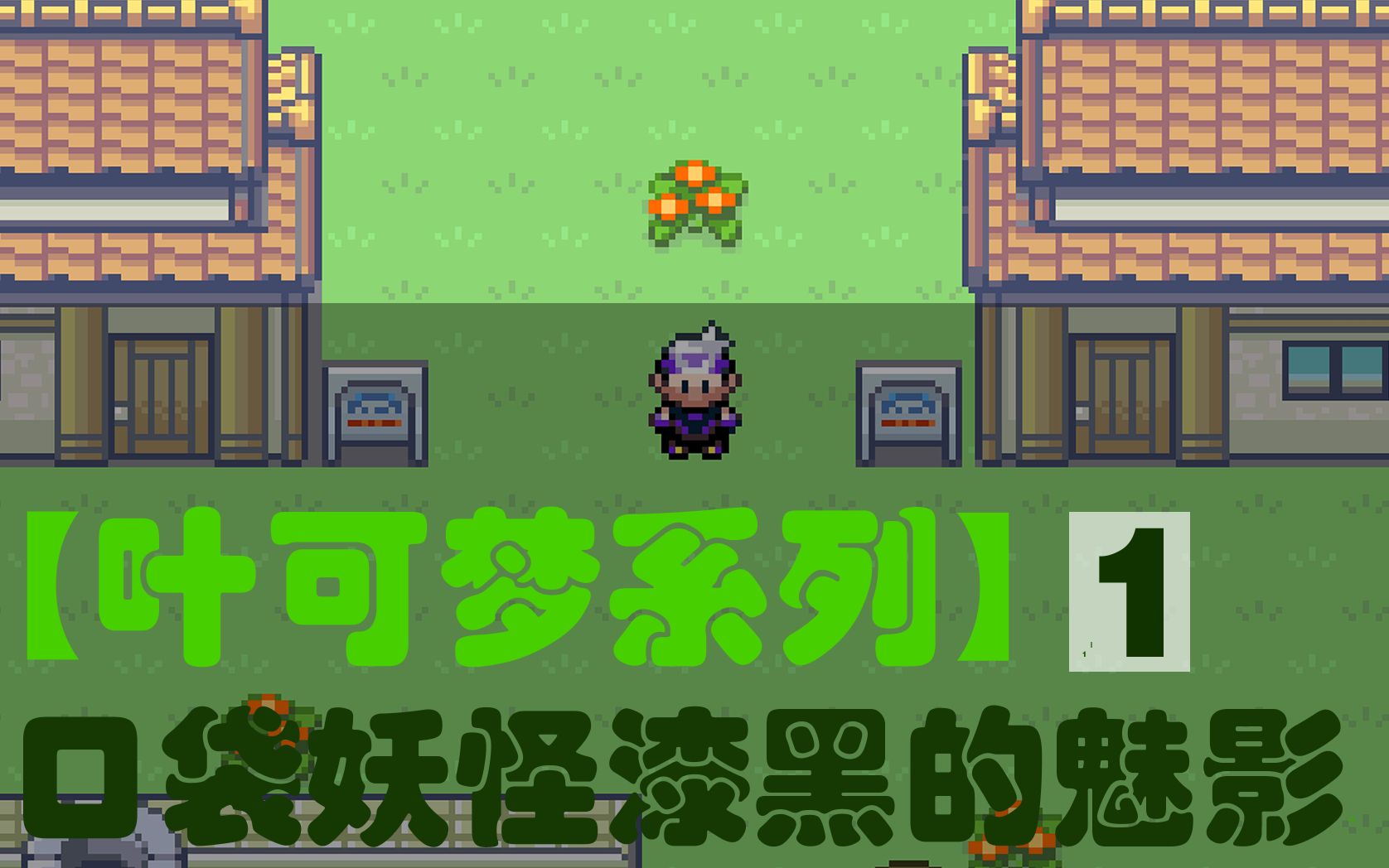【叶可梦系列】口袋妖怪漆黑的魅影(1)