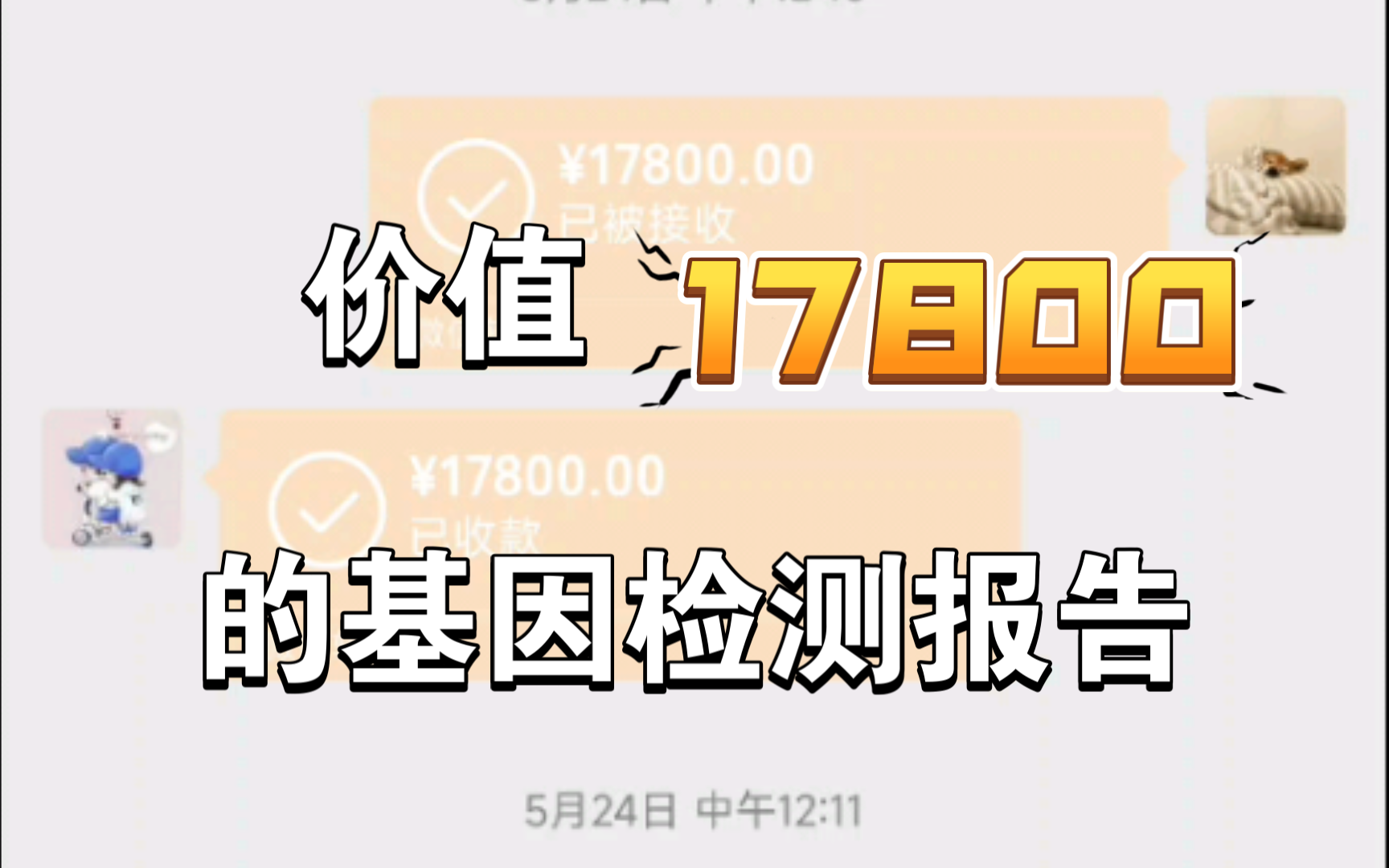 价值 17800 的基因检测报告哔哩哔哩bilibili