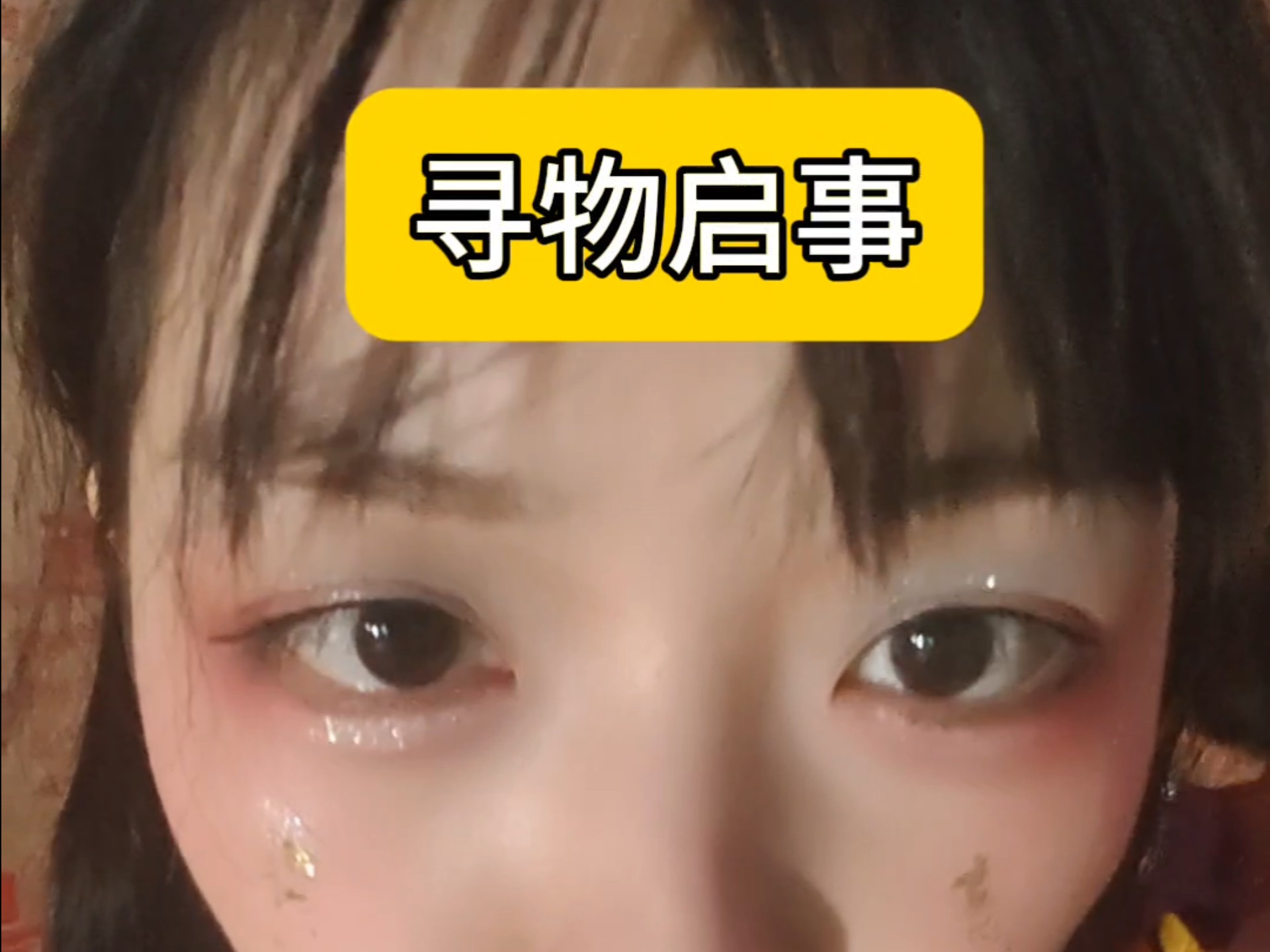 我在萤火虫漫展丢了黑色苹果16