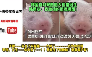 Download Video: 韩国首对双胞胎大熊猫诞生，韩网友：我激动的泪流满面！