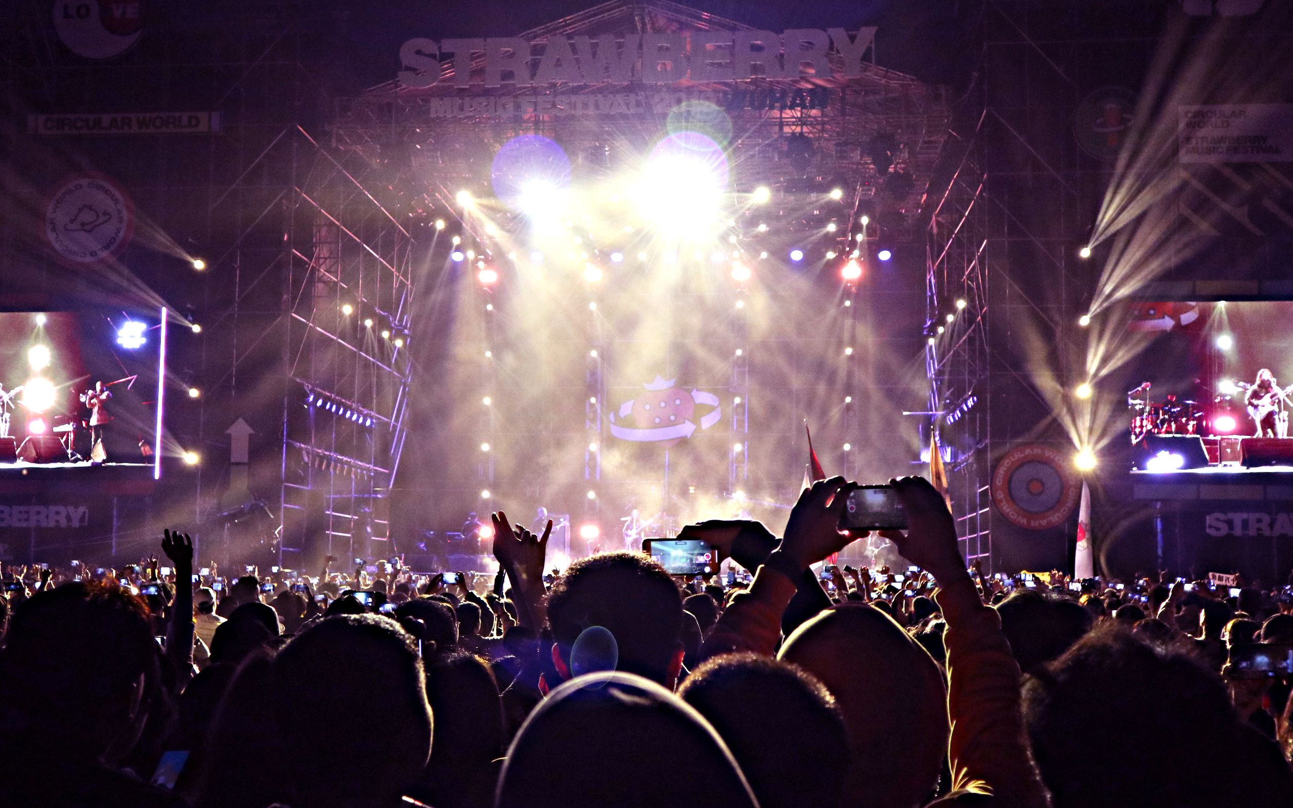 【vlog】2019武汉草莓音乐节 万人狂欢系列/老了and矮了系列