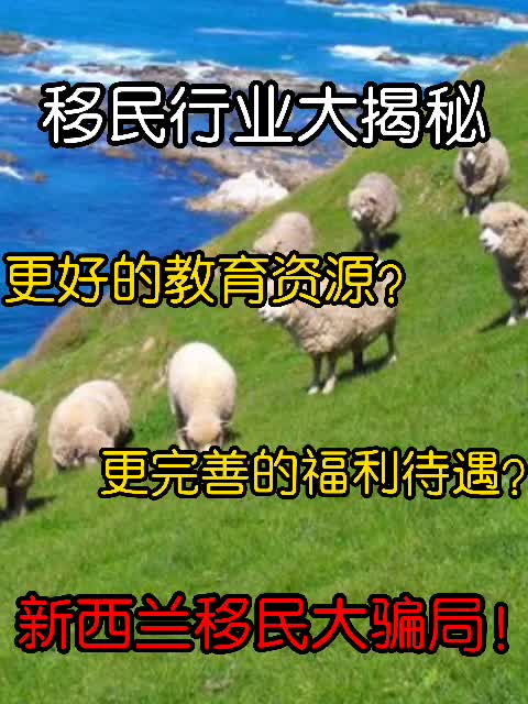 移民陷阱盘点:保准让你后悔的移民项目——新西兰移民哔哩哔哩bilibili