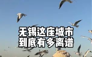 Video herunterladen: 无锡到底有多离谱！