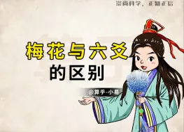 Download Video: 梅花和六爻的区别