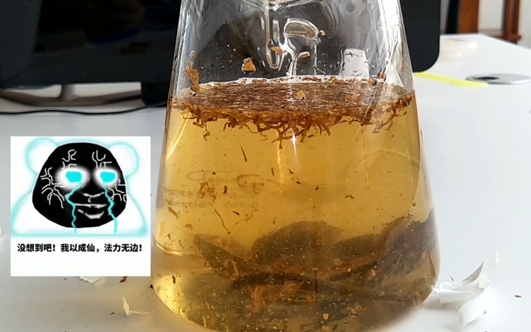 把水蛭放到香烟加槟榔的水溶液中,看看是"法力无边"还是直接升天