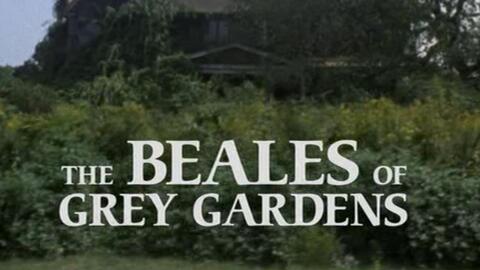 纪录片 灰色花园双语字幕grey Gardens 1975 哔哩哔哩