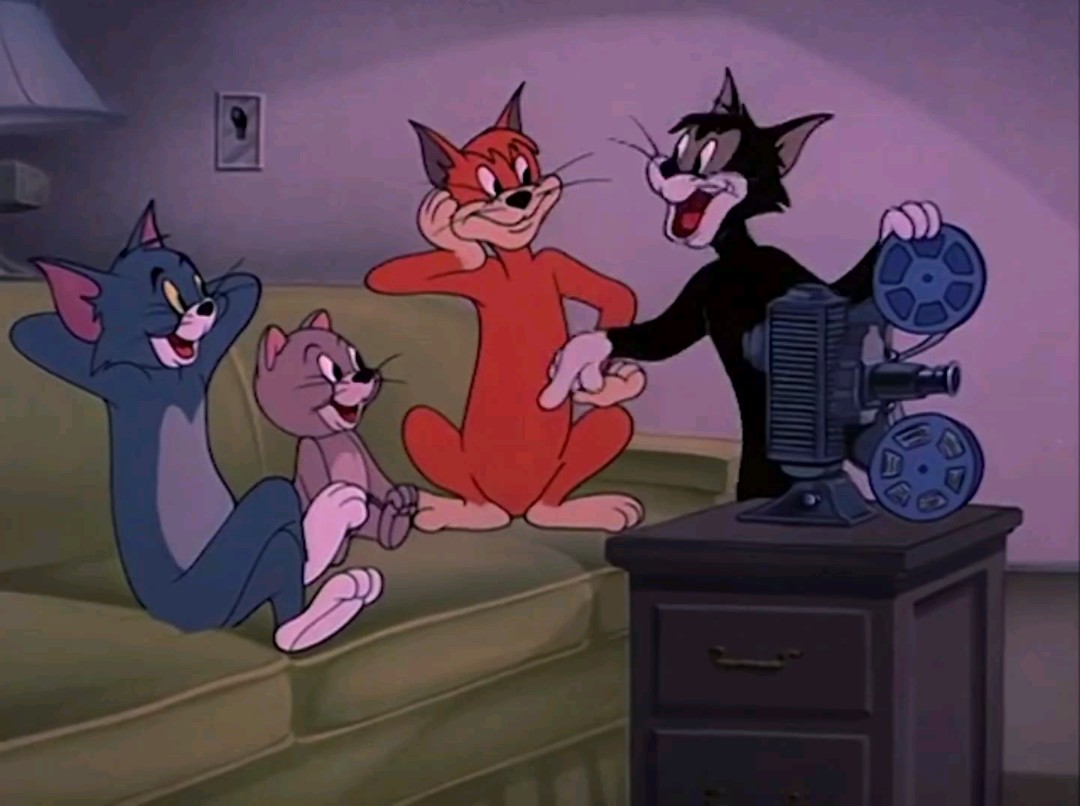 【猫和老鼠】"自作聪明的笨猫" Smarty Cat(1955)哔哩哔哩bilibili