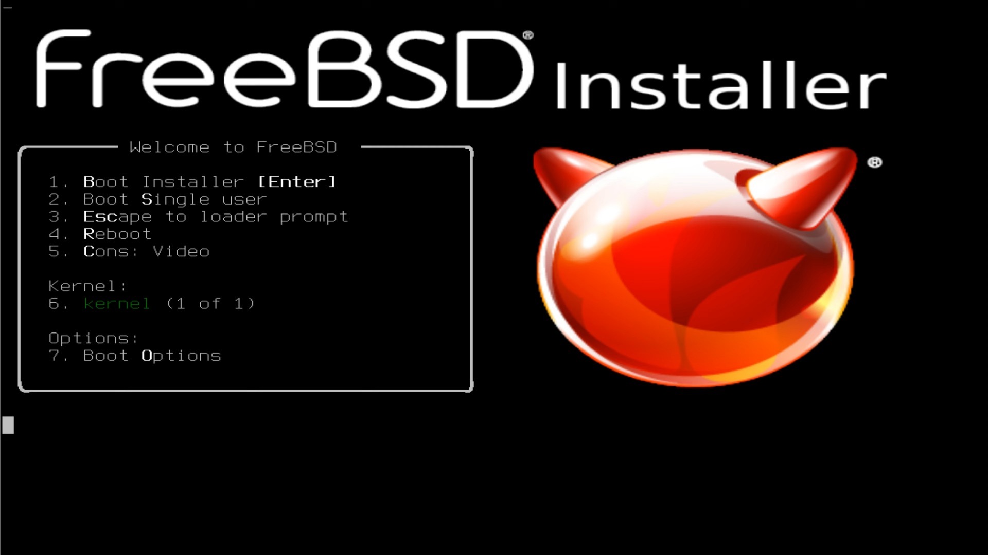 如何在全新电脑上安装FreeBSD 15 - 自动创建ZFS分区 - 分步指南 (2025)