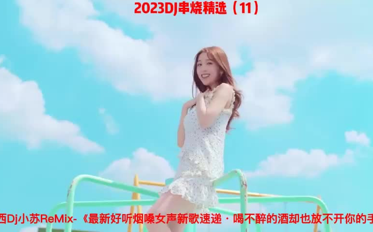 [图]2023DJ串烧精选（11）