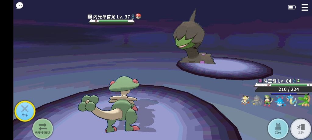 2021年12月24日,闪光单首龙