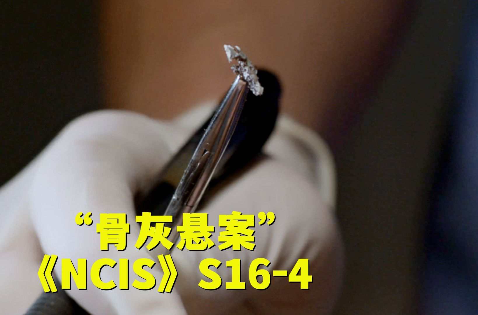 男尸口中塞满人类骨灰惊呆法医,诡异悬案真凶意想不到!《NCIS》第十六季第4集哔哩哔哩bilibili