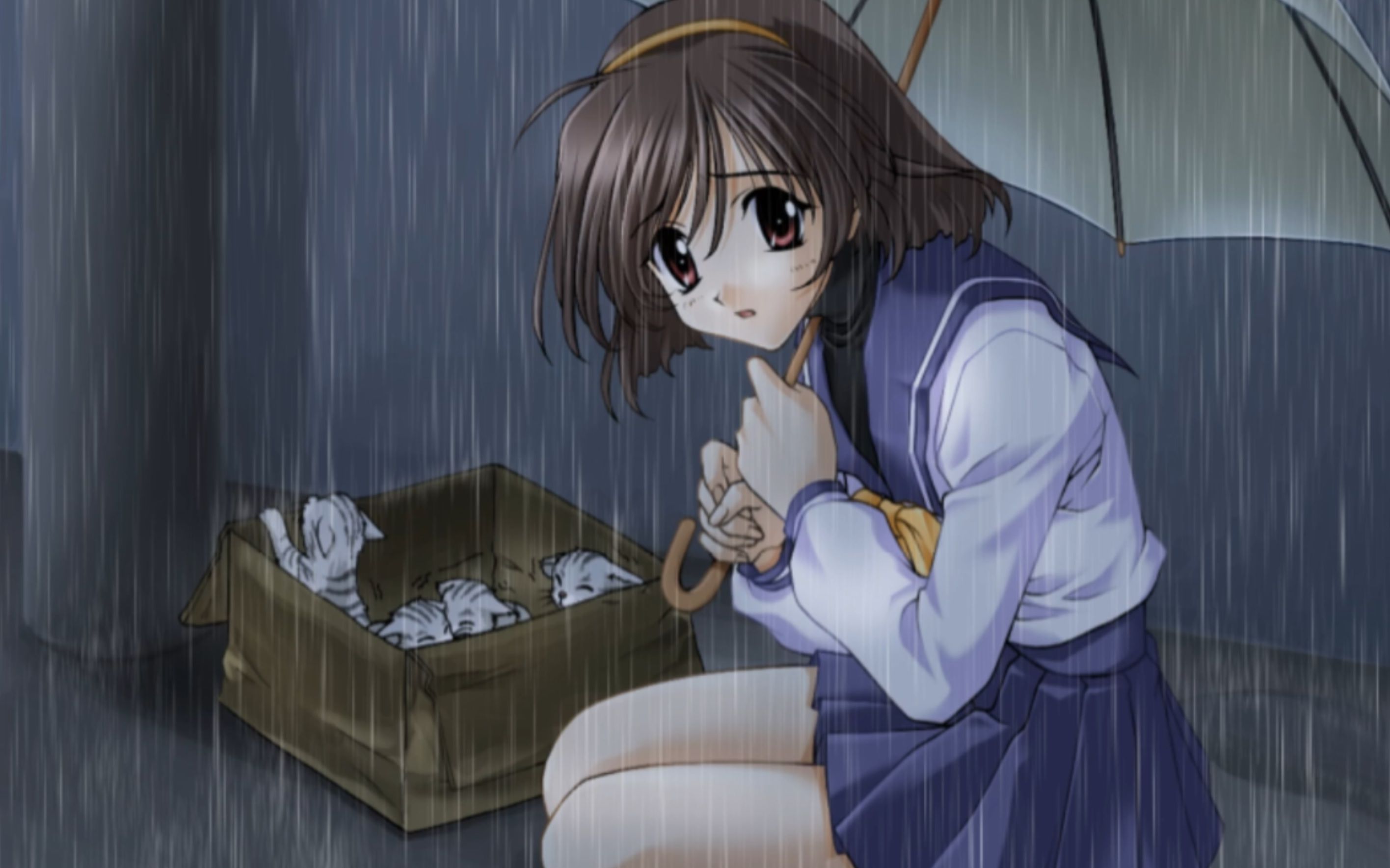 【今坂唯笑 线】galgame的标准范文——秋之回忆 1 vol.