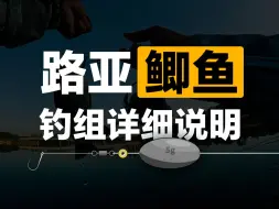 下载视频: 路亚鲫鱼钓组详细说明