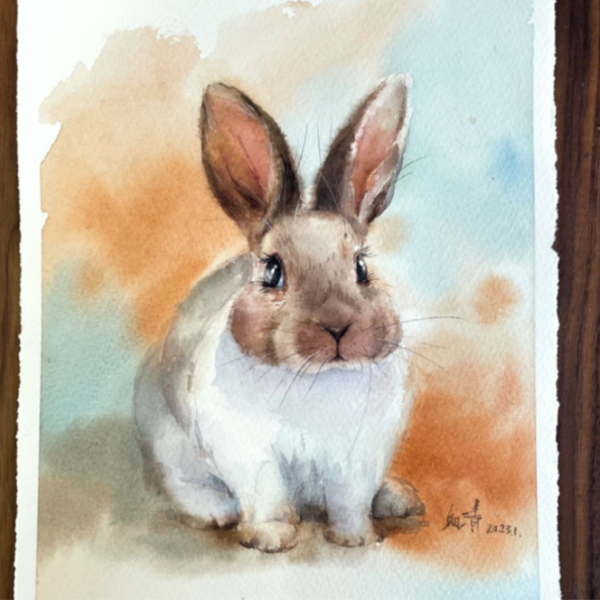 水彩画一只小兔子原速绘画过程_哔哩哔哩_bilibili