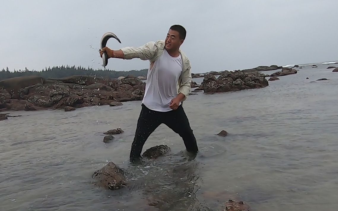 小林赶海麒麟臂爆发擒住一条白白胖胖的大家伙生猛异常太难抓