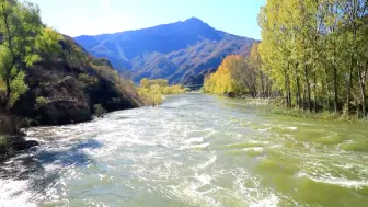 Скачать видео: 深秋山河美，不如画中游！抓住秋的尾巴，来门头沟赏景吧！