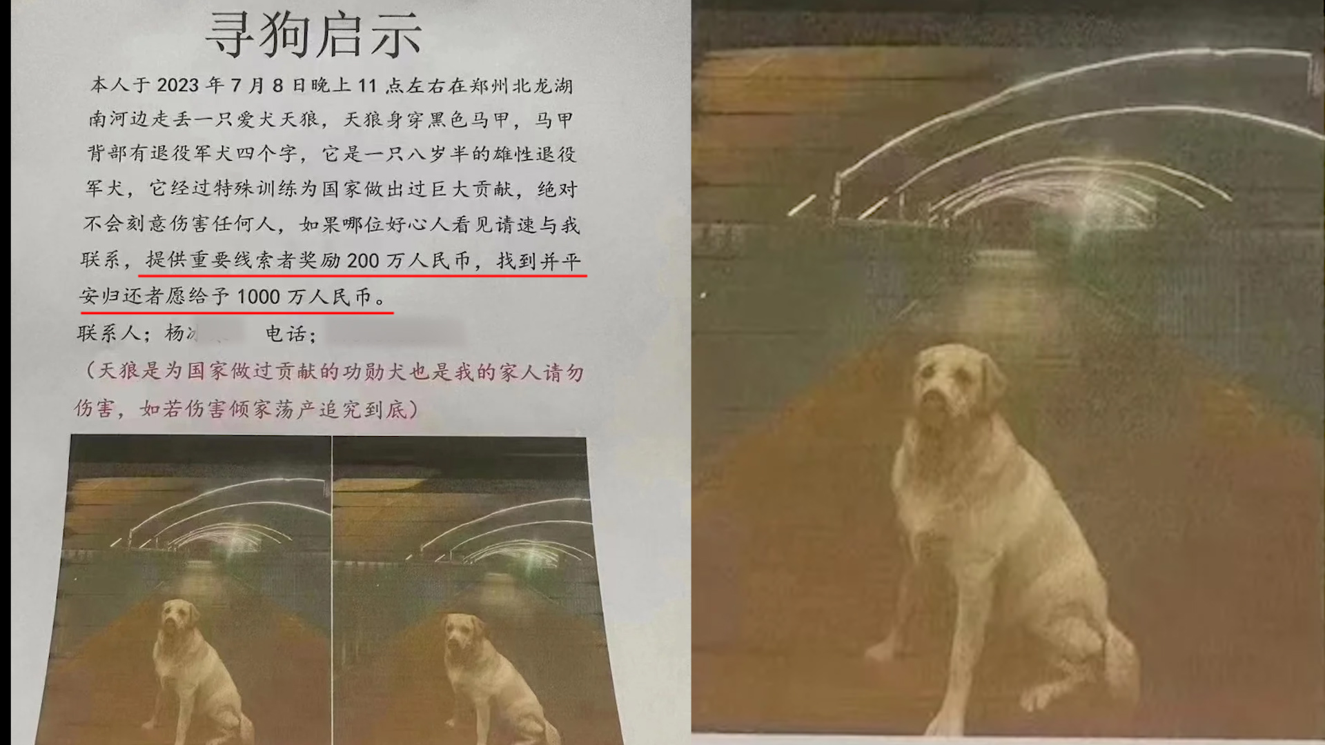 狗主人悬赏1000万寻狗,其为功勋犬做过大贡献:如若伤害追究到底哔哩哔哩bilibili