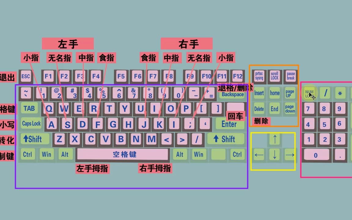 零基础学电脑从认识键盘开始,不会打字的,记不住键盘的看过来哔哩哔哩bilibili