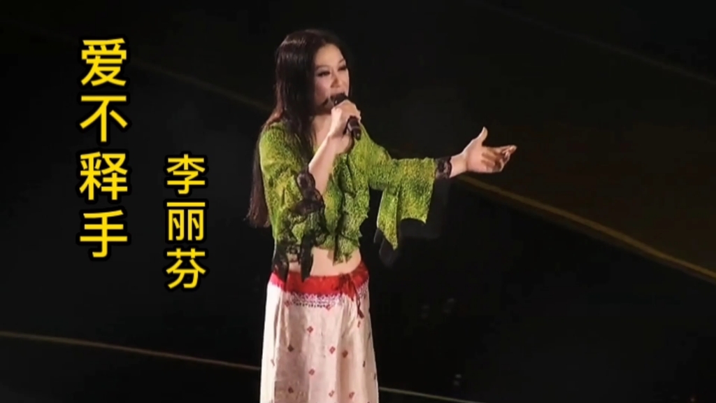 重温李丽芬演唱的经典歌曲《爱不释手》与您分享哔哩哔哩bilibili