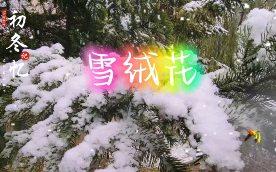 [图]初冬忆！跨越60年传承，一首美丽的歌《雪绒花》祝福我们的家乡！