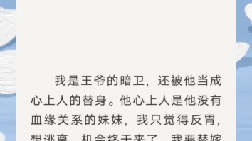 [图]我是王爷的暗卫，还被当成心上人的替身，而心上人是他的妹妹，我想逃离，终于，机会来了