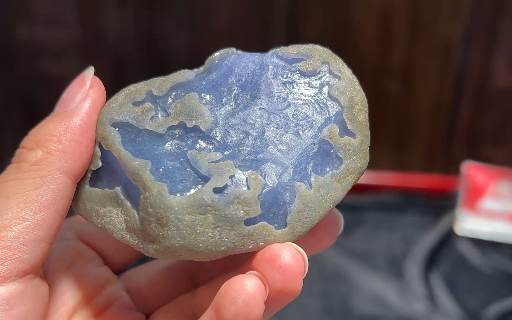 自然光线下的"昭仪之星"