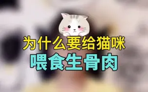 Download Video: 为什么要给猫咪喂生骨肉？给猫咪吃生骨肉是符合猫咪饮食习性的一种自然喂养方式