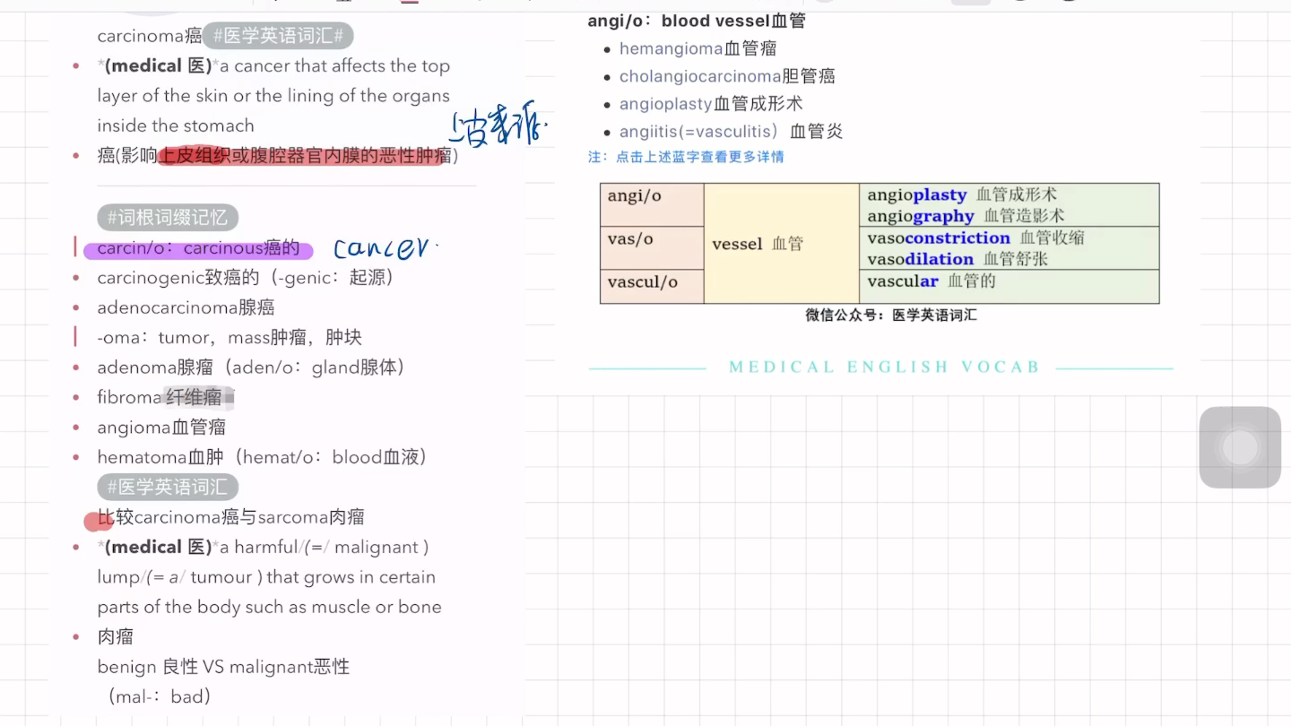 【医学英语词汇】carcinoma如何拓展学习哔哩哔哩bilibili