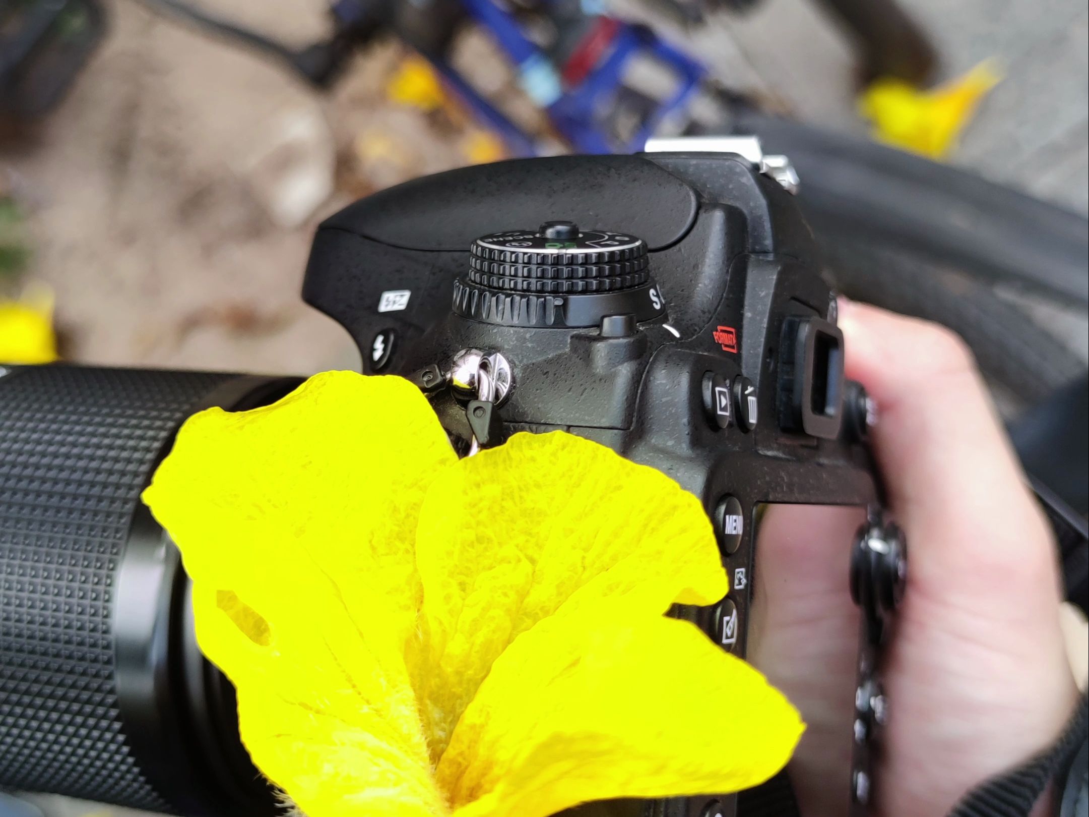 千淘万漉虽辛苦,吹尽狂沙始到金,d600配尼康70-210沙金头,出佳为尼5d2