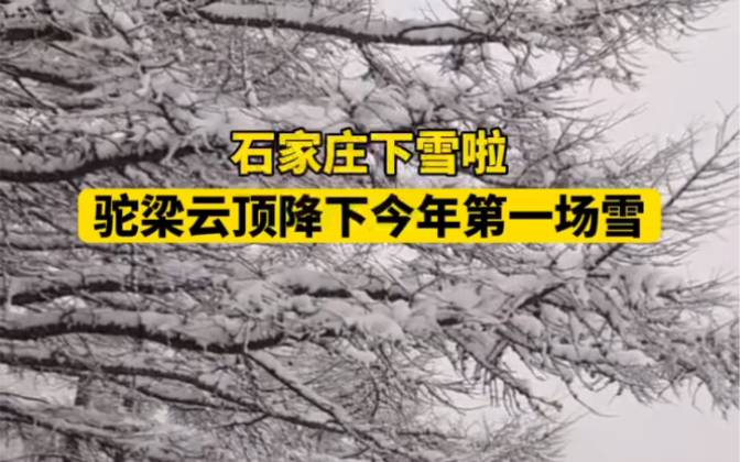 11月5日 #河北石家庄 平山县驼梁云顶降下今年第一场雪.#石家庄下雪啦 #河北驼梁景区降雪哔哩哔哩bilibili