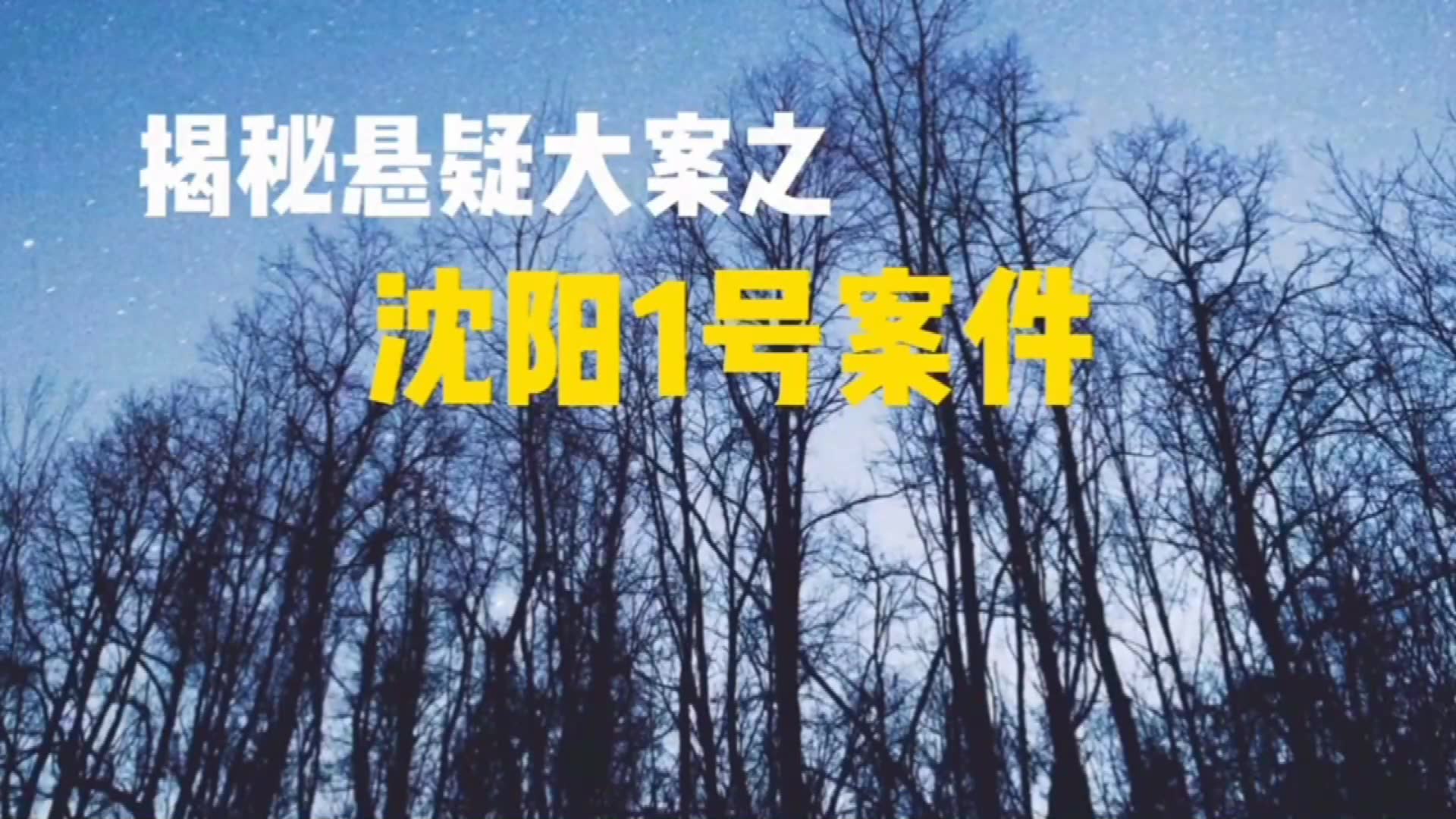 [图]1999年沈阳1号案件，从未对外公开的残忍刑事大案｜揭秘悬疑大案