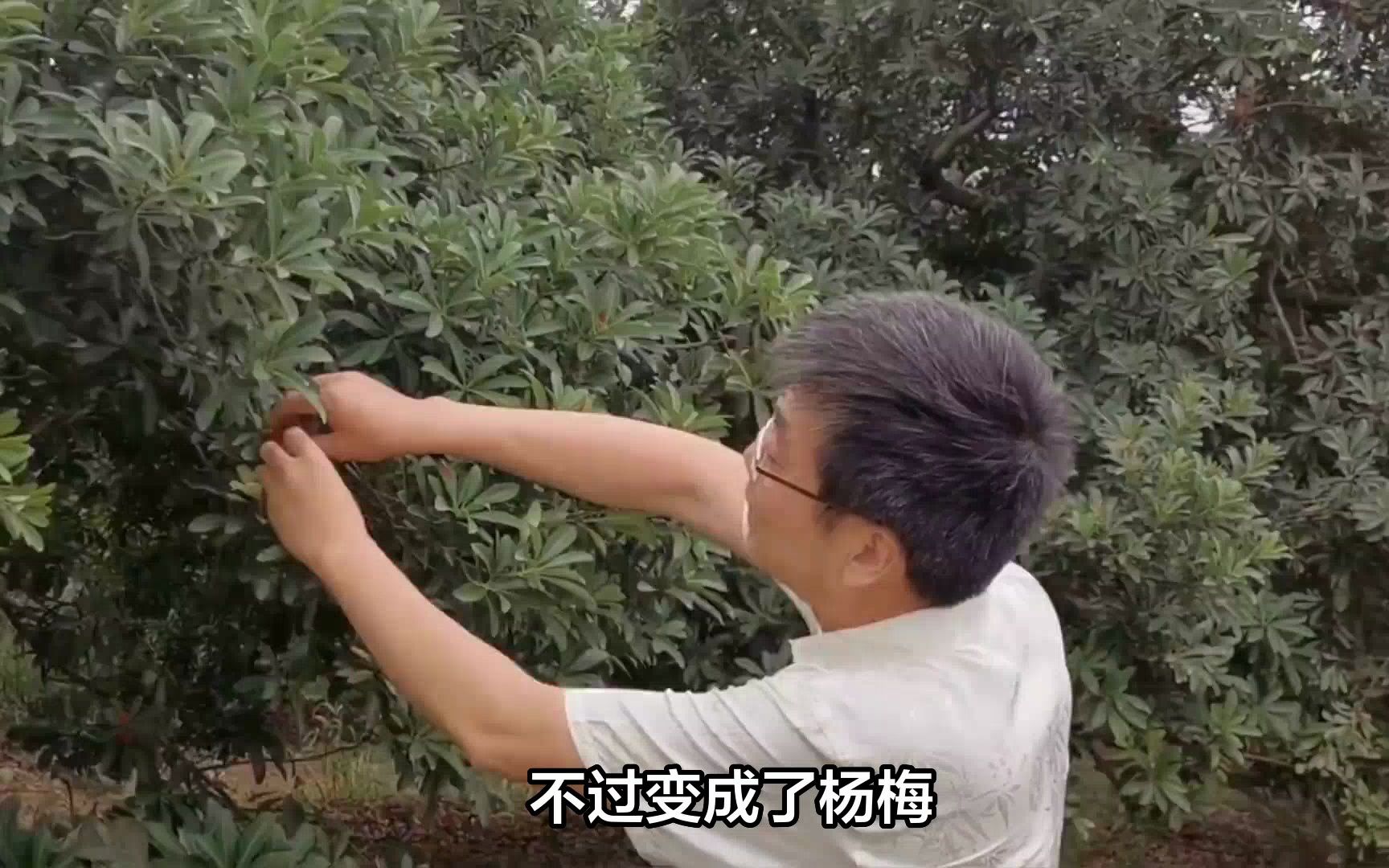 浙江宁波俞家岙村,寂寂无名却是艺术村落,清溪流水是休闲好去处哔哩哔哩bilibili