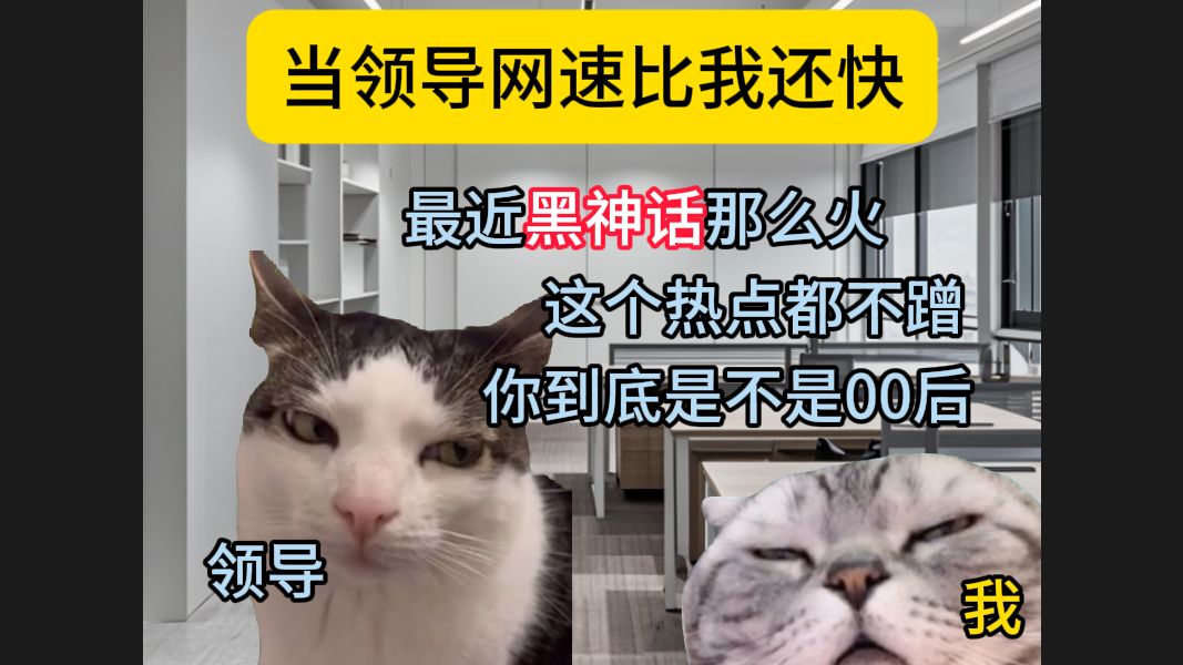 【猫meme】x【黑神话】千万别让领导网速比你快哔哩哔哩bilibili