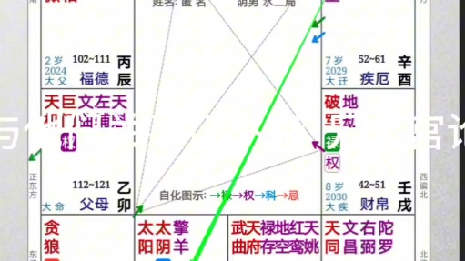 飞星紫微斗数看命盘中最重要的宫位 没有之一!哔哩哔哩bilibili