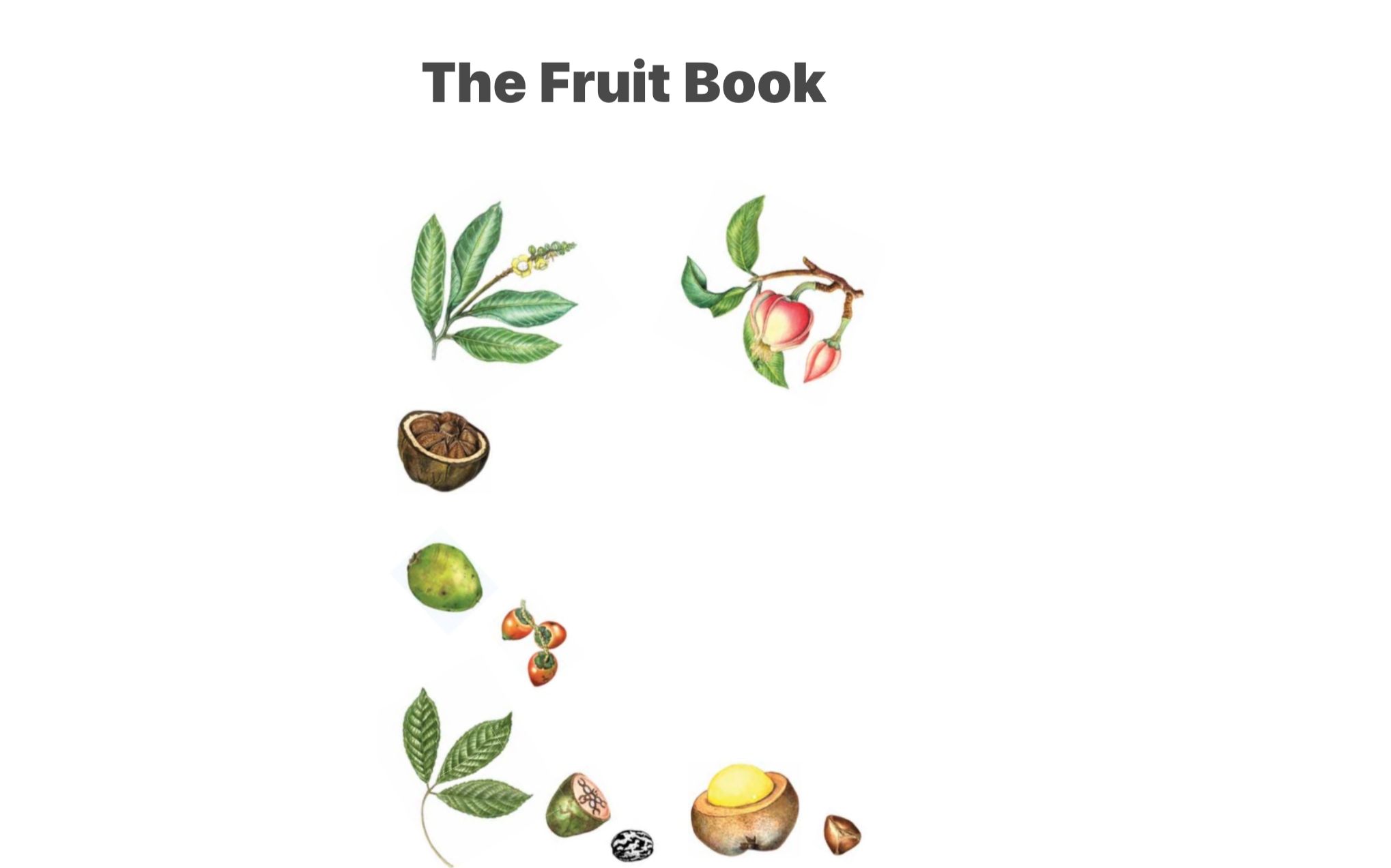 雅思阅读真题精讲之 the fruit book